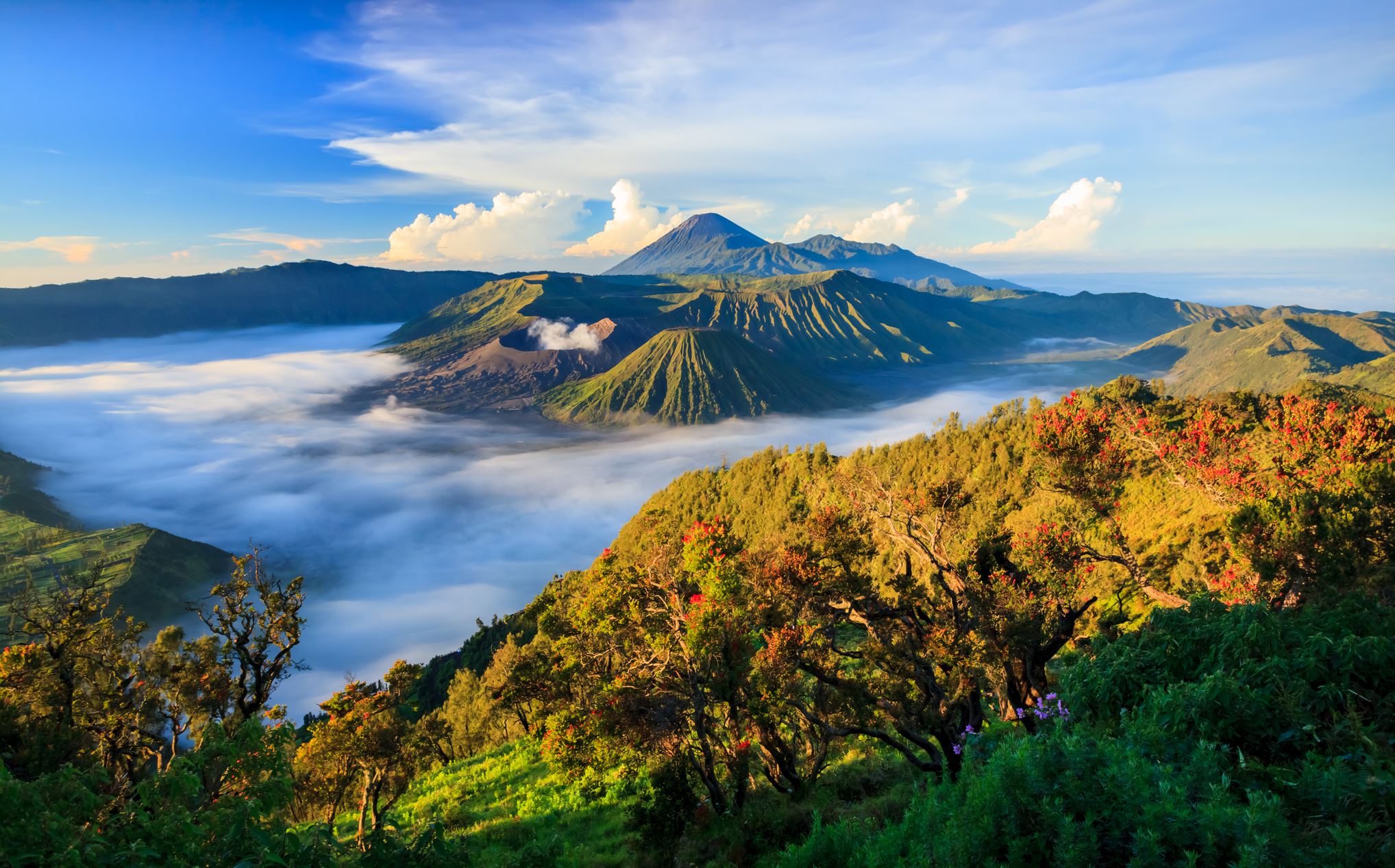 Highlights of Indonesia